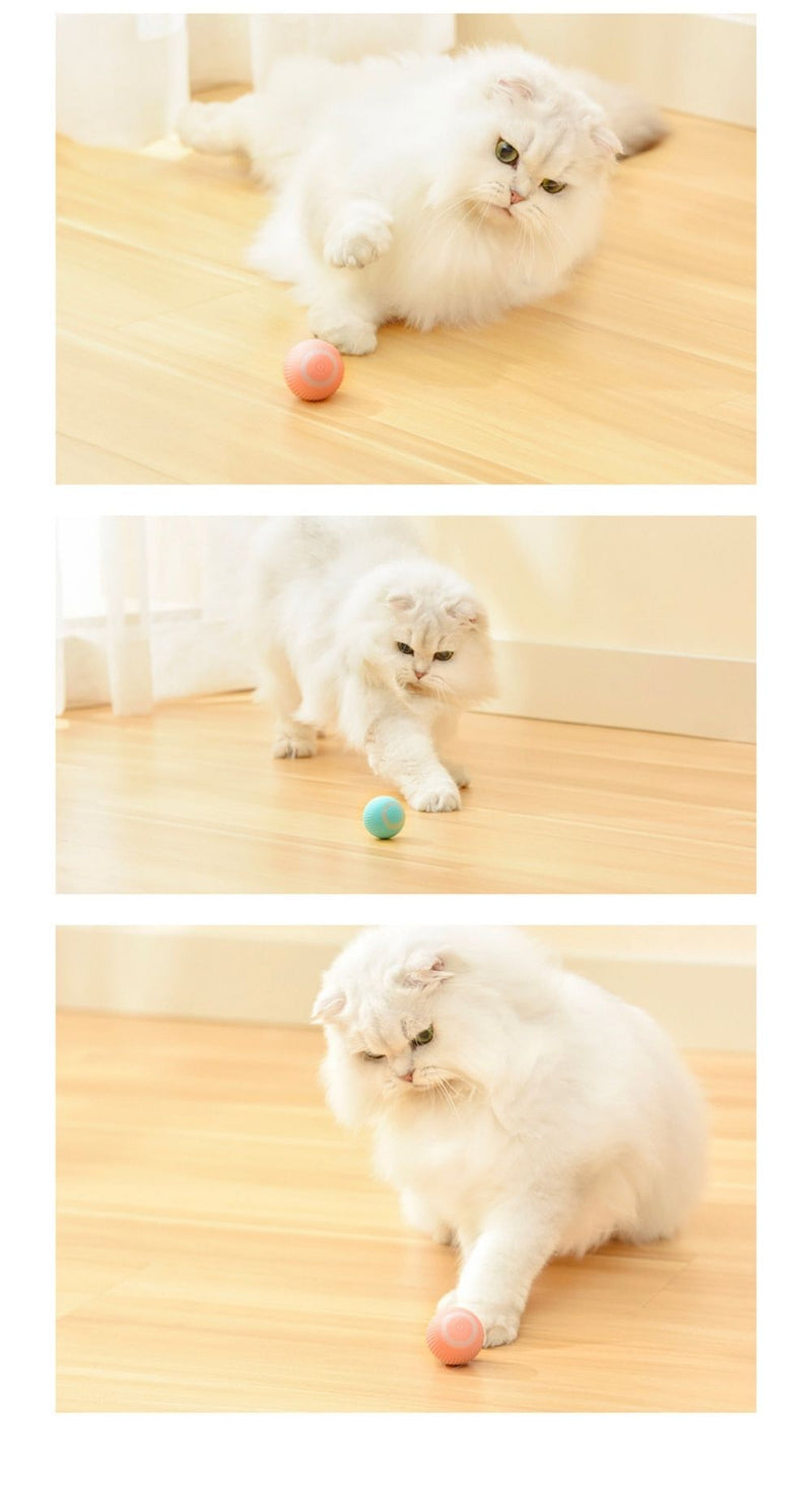 Catball - Bola Mágica Interativa Para Gatos